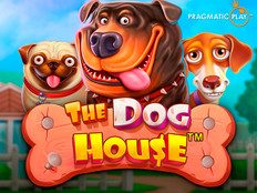 The Dog House slot screenshot